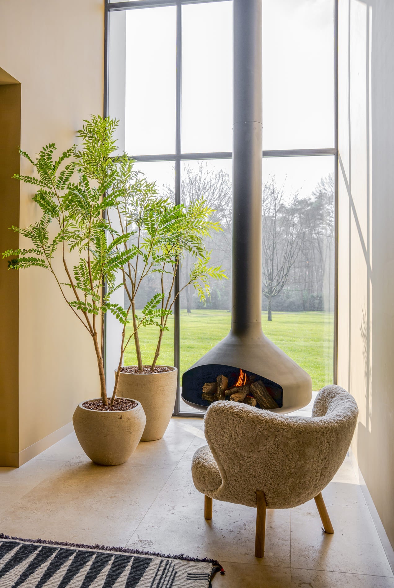 Zijden Bomen - Planten