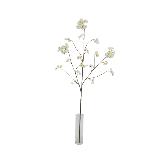 Bloesem tak creme 130cm