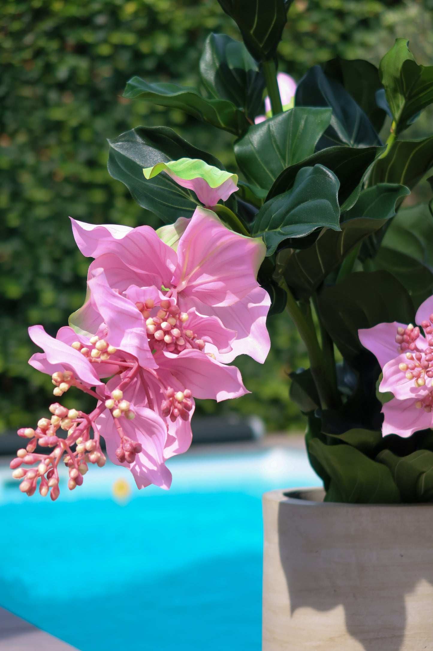 Interieur Reset - Medinilla zijden kunstplant (Excl Pot)