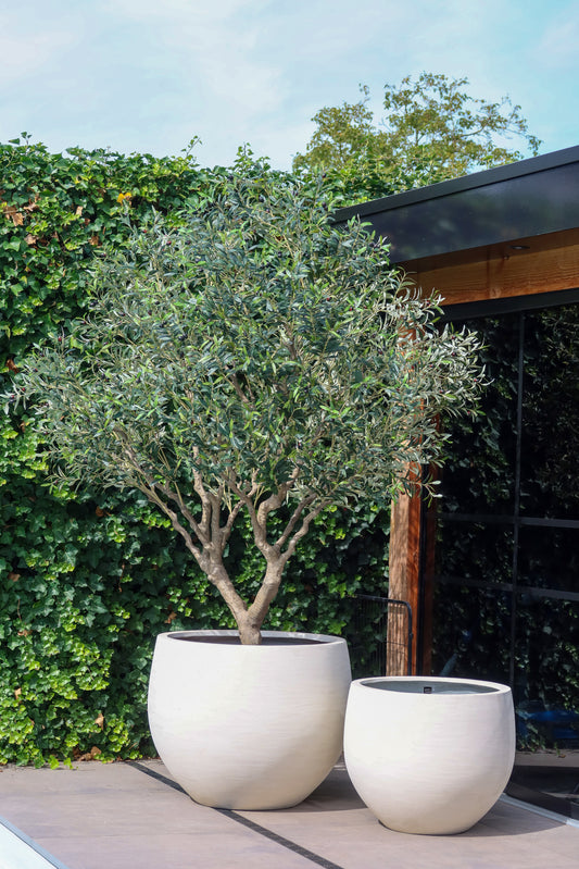 Pot Jumbo Orb XS Ivoor D69 H57
