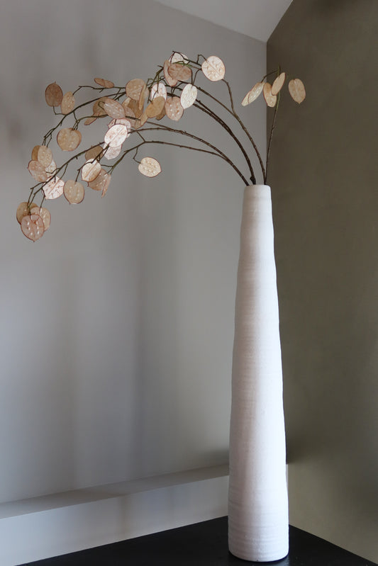 Lunaria Beige 110h