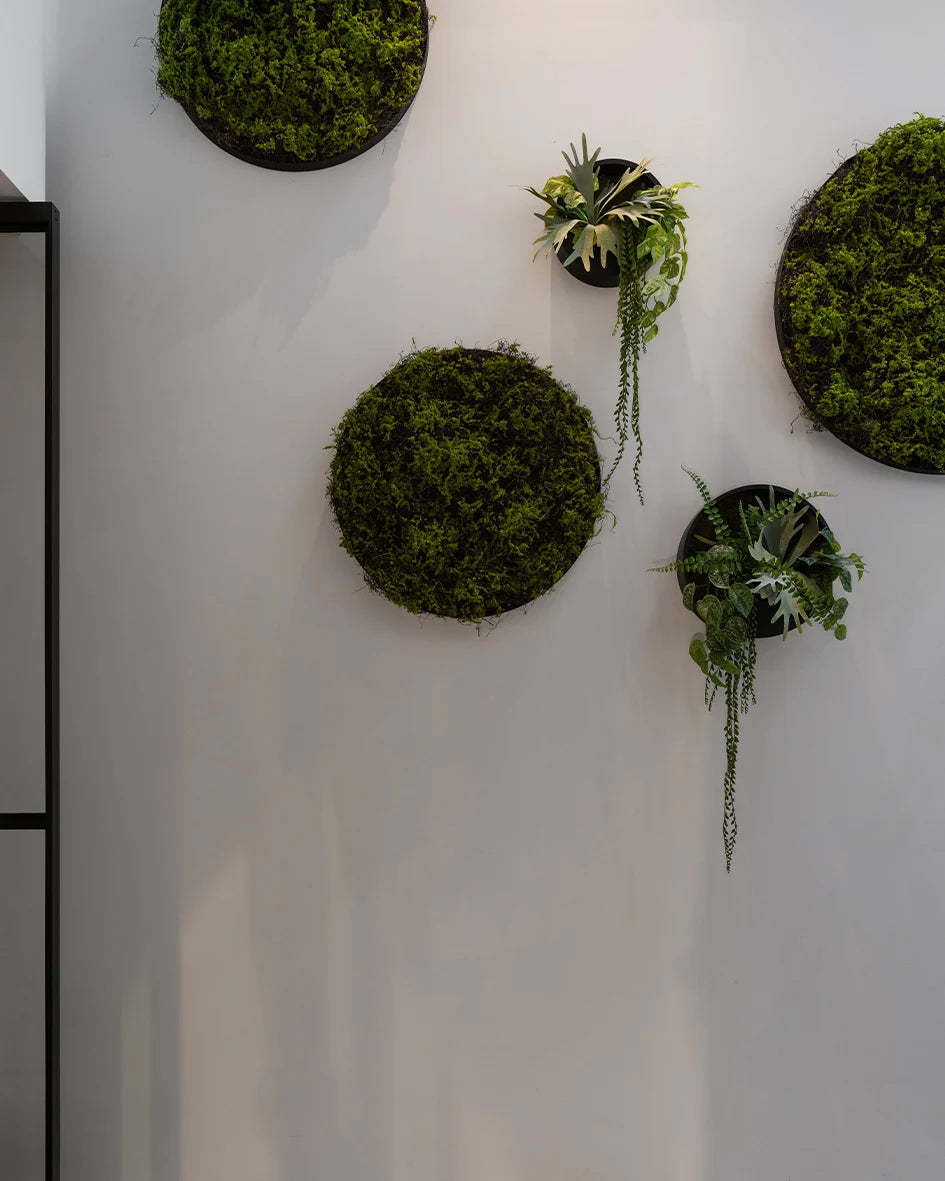Janus Zwart/Groen D50 incl kunstplanten en bevestigingsmaterialen