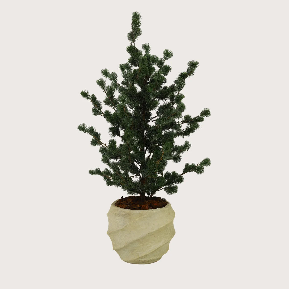 Pot Jarry S terra Wit D35 H27