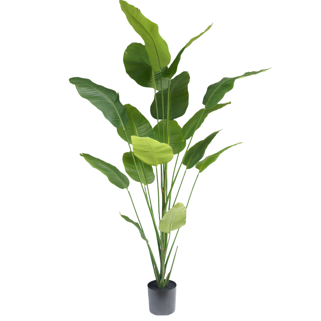 Strelitzia zijden kunst plant 210cm