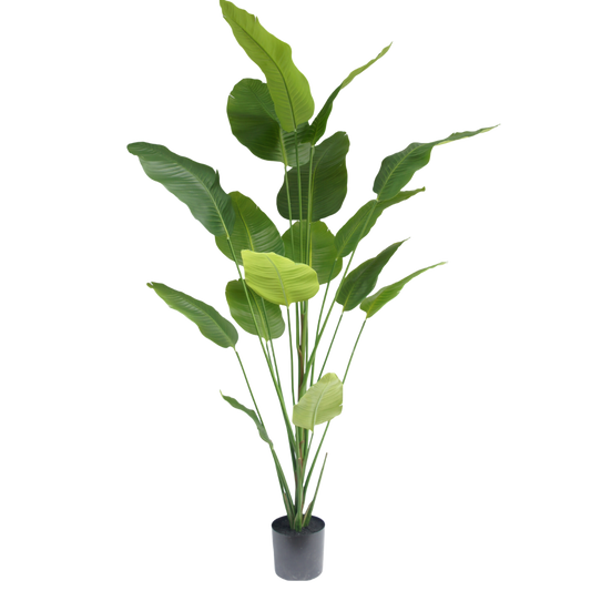 Strelitzia zijden kunst plant 210cm