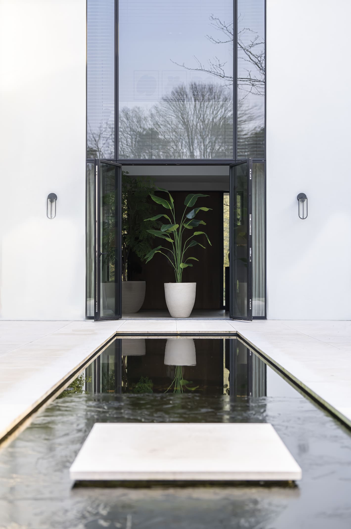 Strelitzia zijden kunst plant 210cm