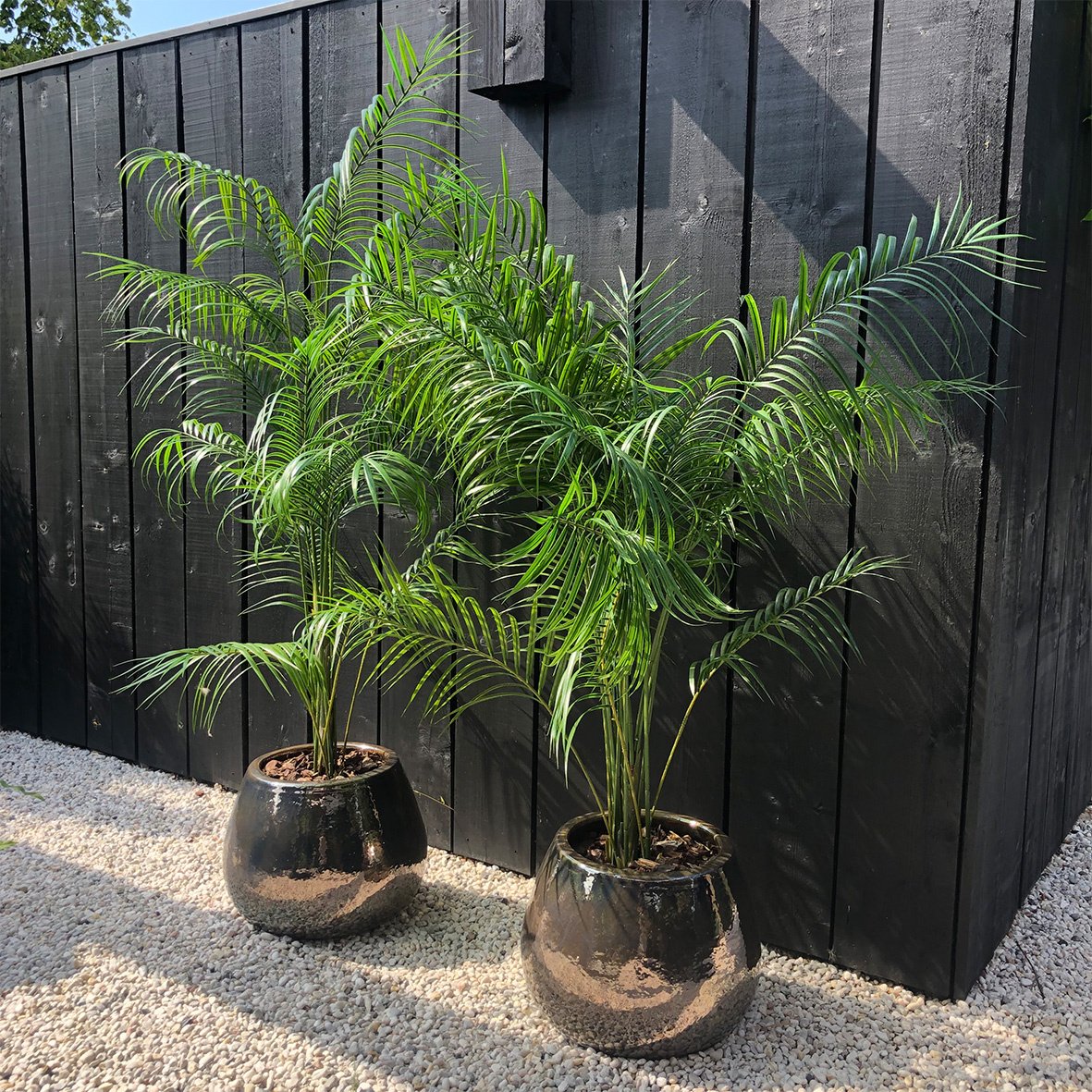 UV-bestendige kunst planten en bomen