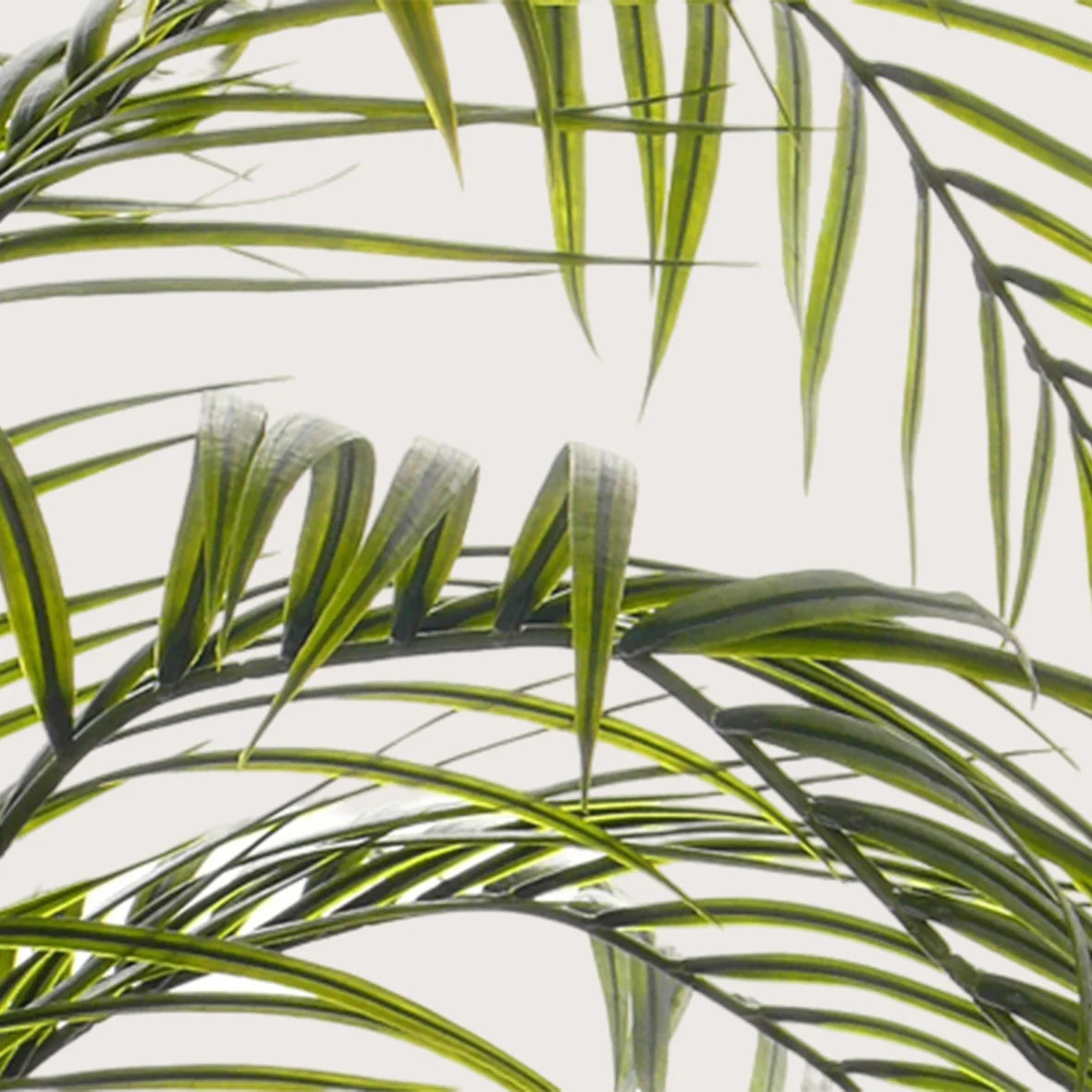 Areca Palm UV Groen H175 D120