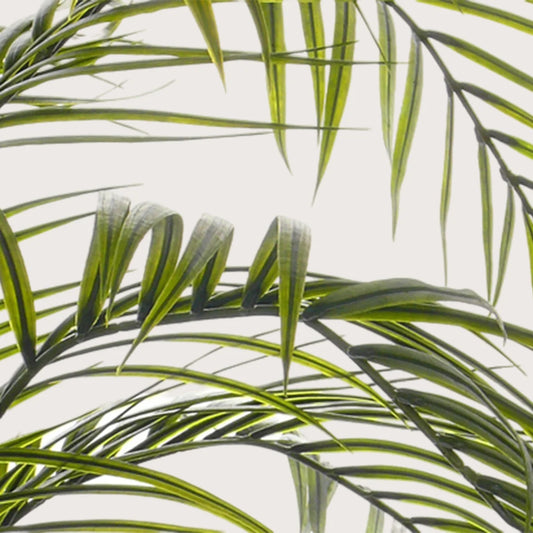 Areca Palm UV Groen H175 D120