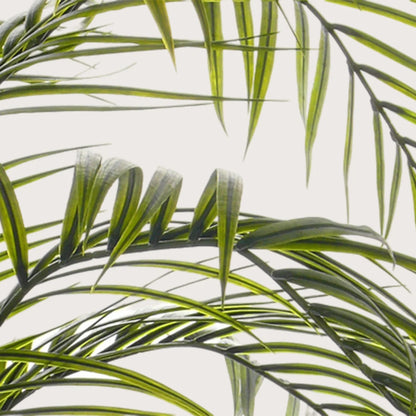 Areca palm UV Groen H195 D140