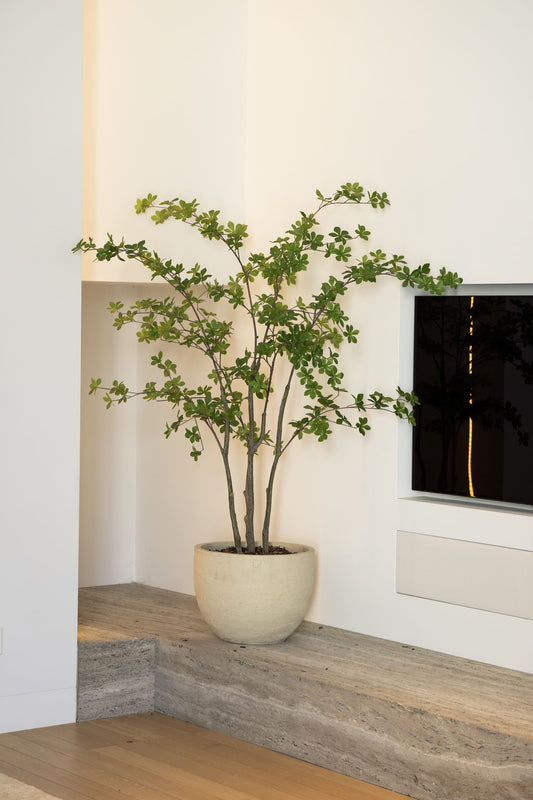 Enkianthus zijden kunstboom 150cm