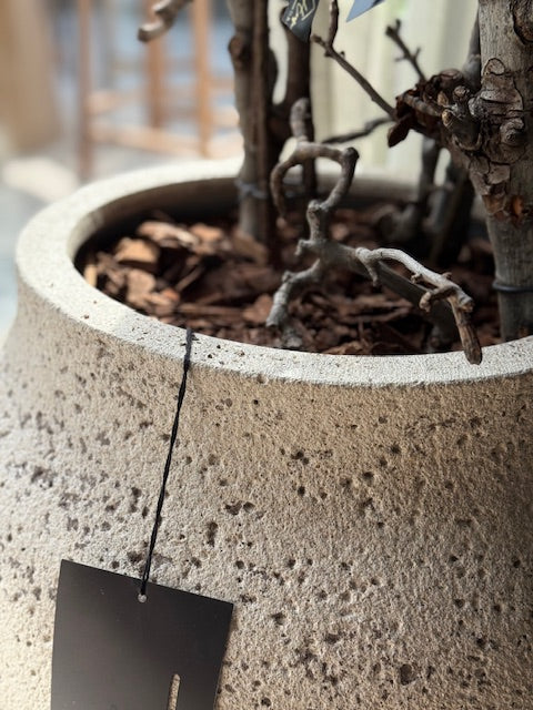 Pot van Pottery Pots beige/zand 75hx37d