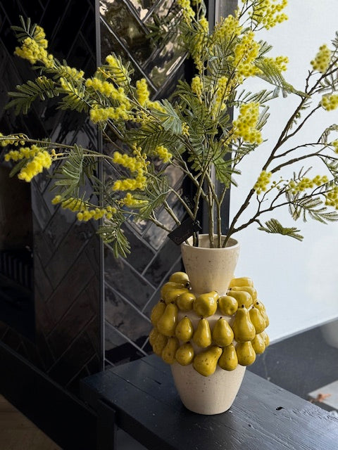 Mimosa tak groen/geel 110h