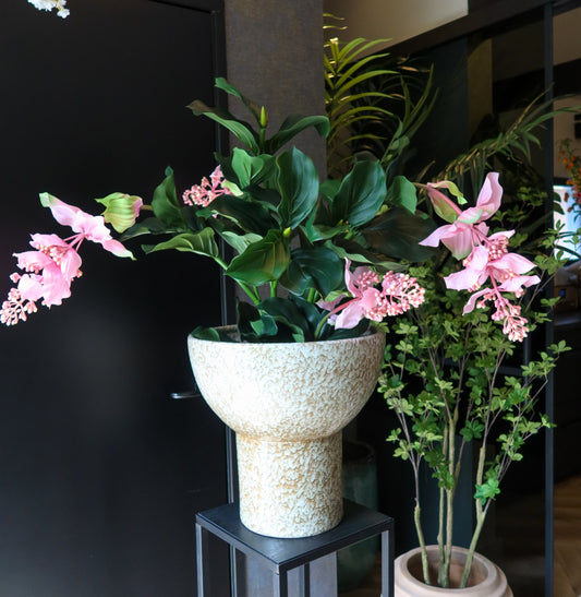 Medinilla zijden kunstplant 66hx80b