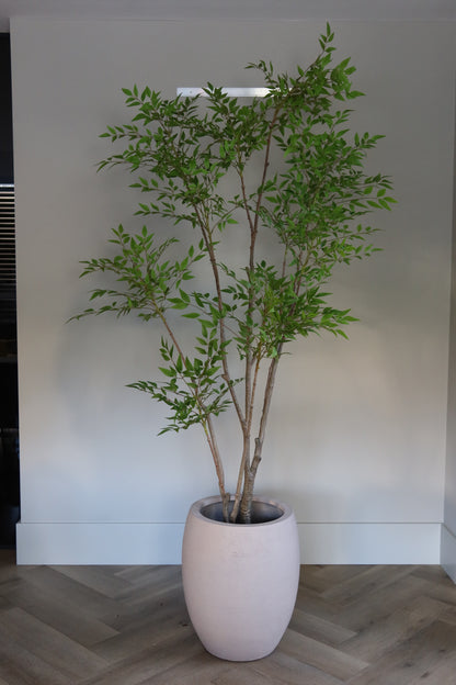 Interieur Reset - Nandina + Terreno Pot