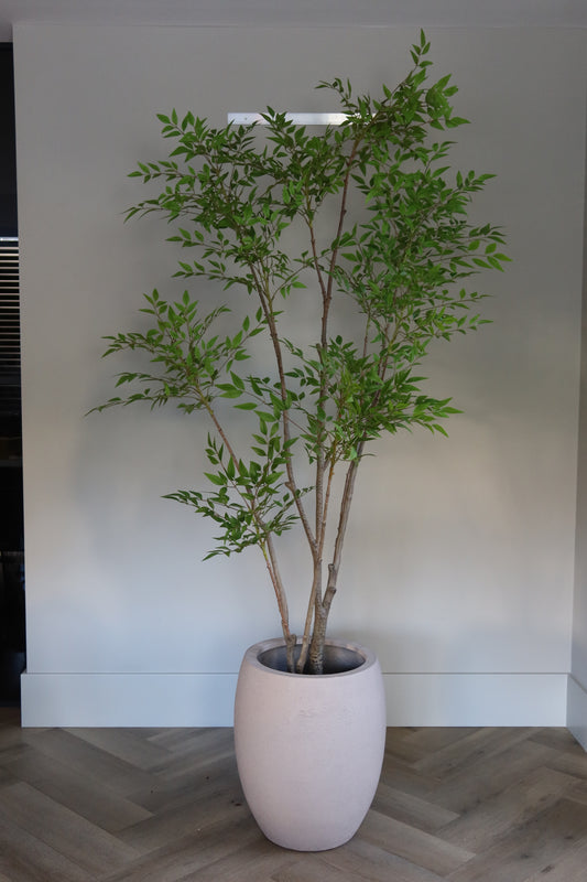 Interieur Reset - Nandina + Terreno Pot