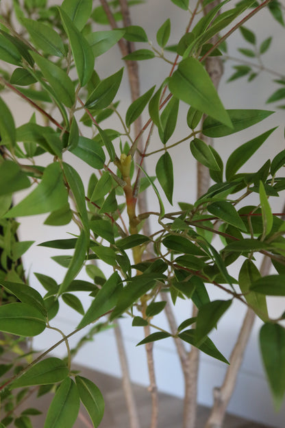 Interieur Reset - Nandina + Terreno Pot