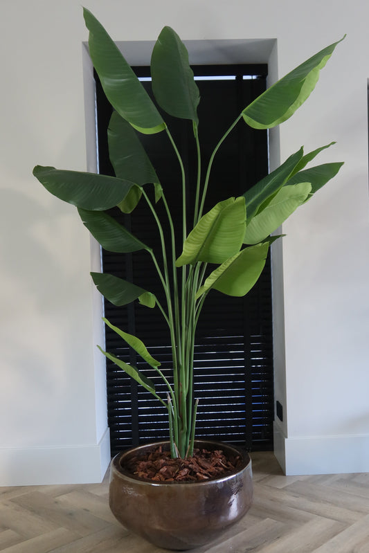 Interieur Reset - Strelitzia Zijden Plant (Excl Pot)