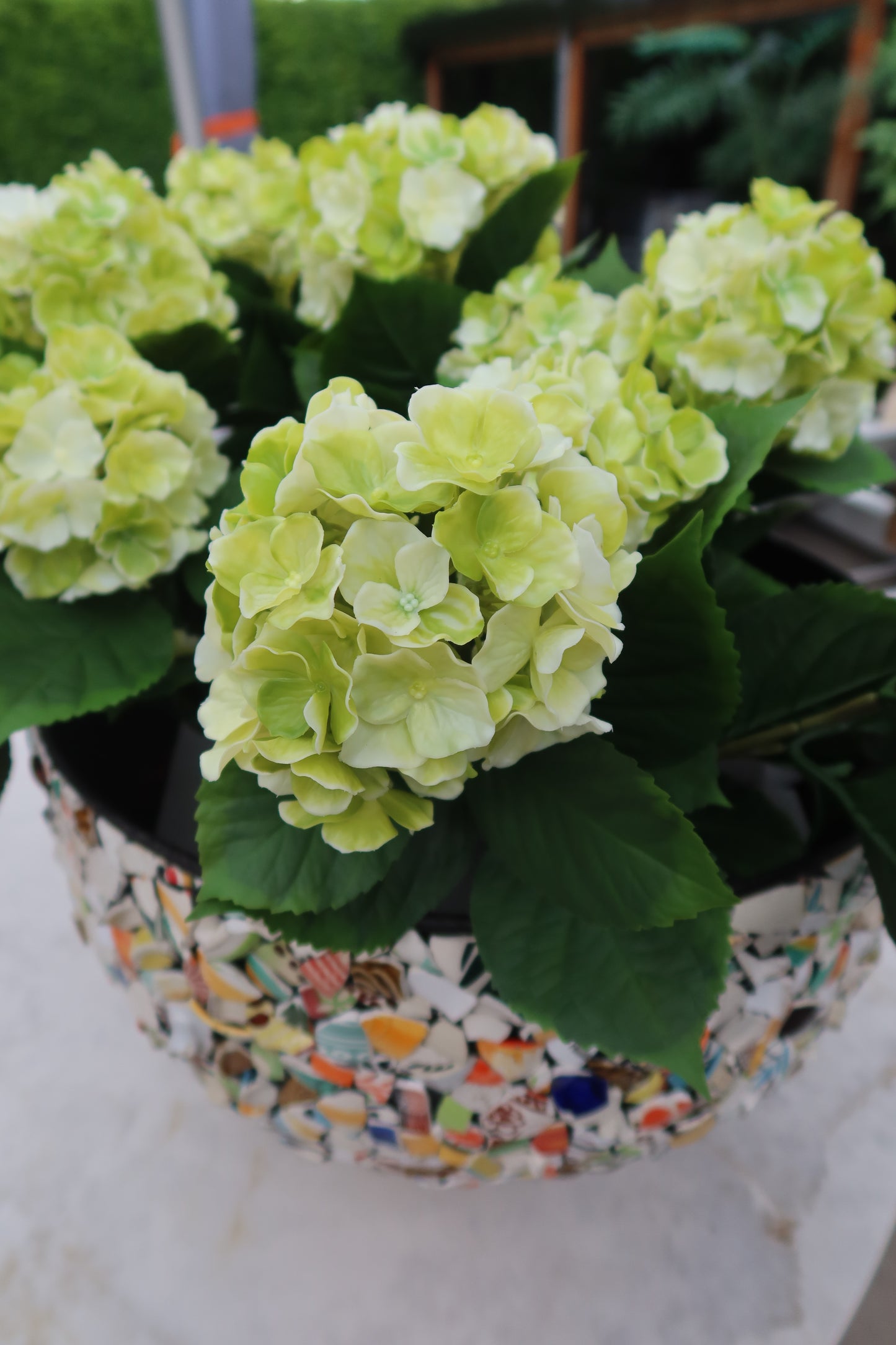 UV bestendige Hortensia 43cm