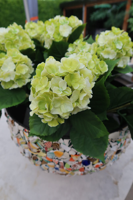 UV bestendige Hortensia 43cm