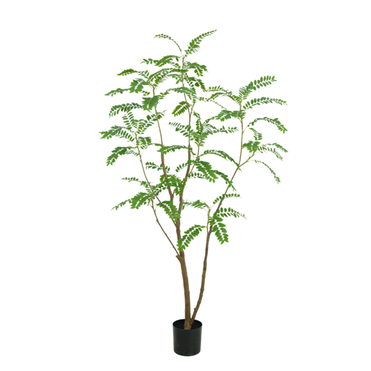 Mimosa zijden kunstboom 210cm