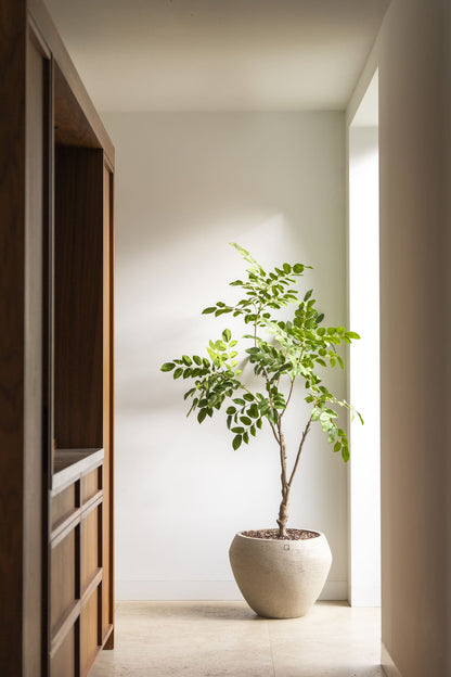 Sandalwood zijden kunstboom 180cm
