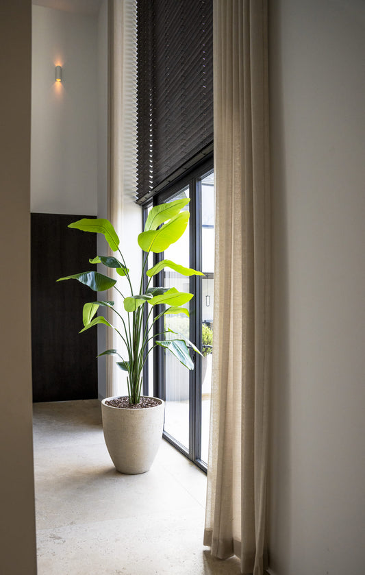 Strelitzia zijden kunst plant 210cm