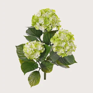 UV bestendige Hortensia 43cm