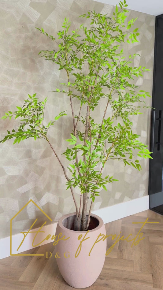 Interieur Reset - Nandina + Terreno Pot